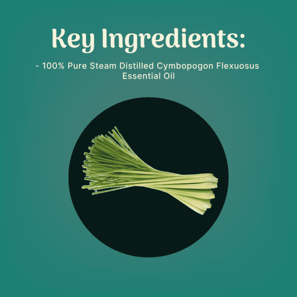 Inroots Lemongrass Essential Oil - 30ml - Image 3